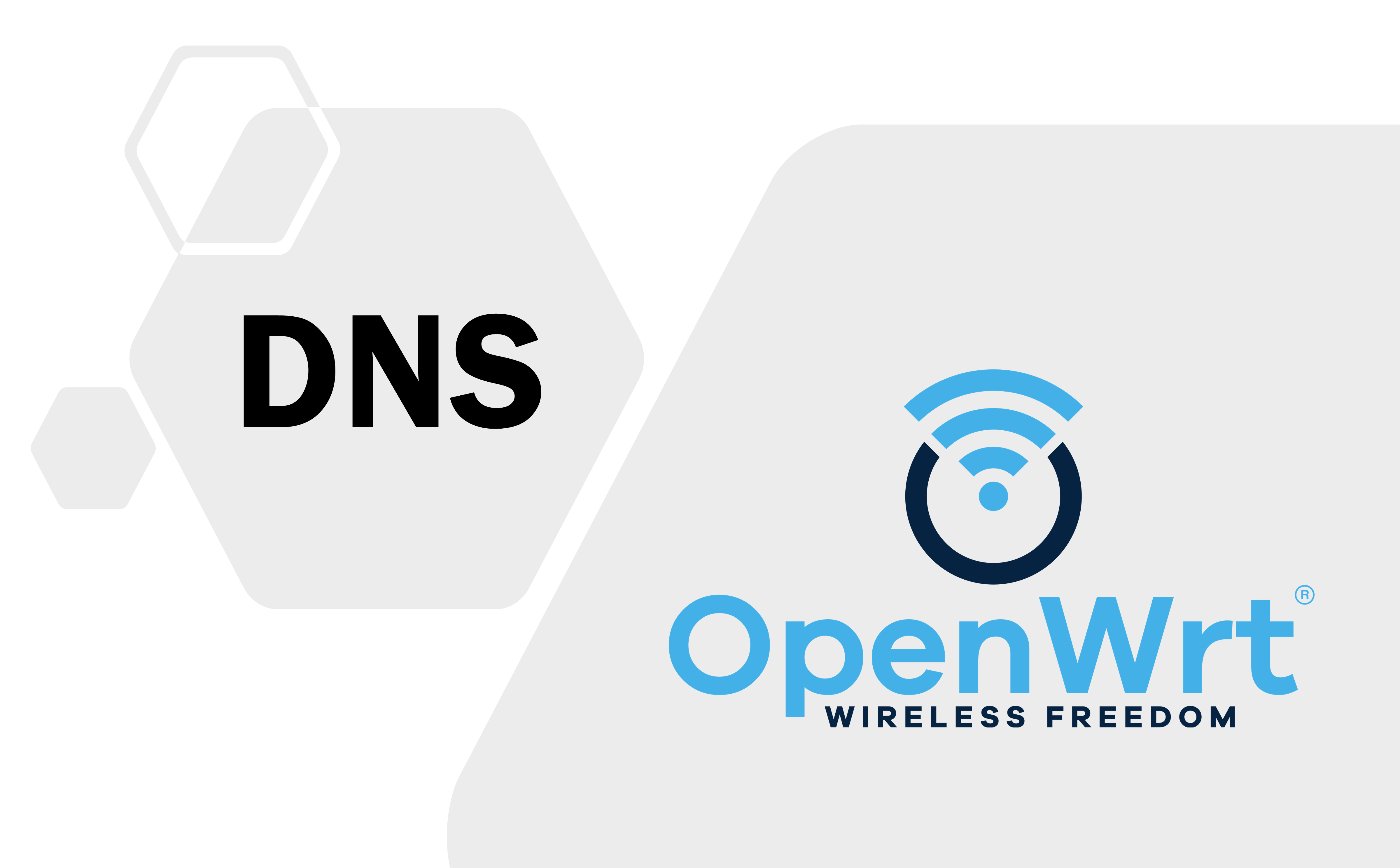 OpenWrt 如何查看 WAN 口下发的 DNS